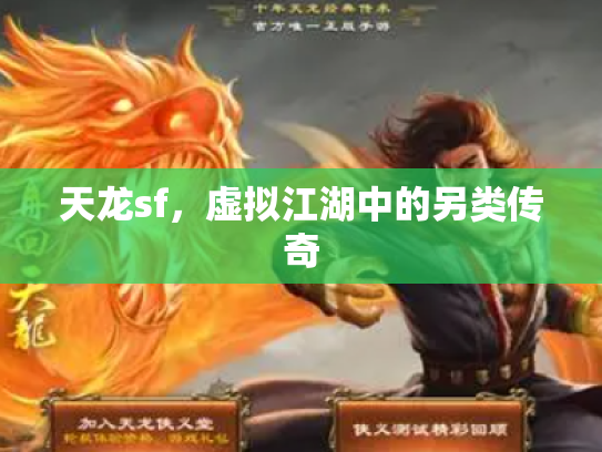 天龙sf，虚拟江湖中的另类传奇