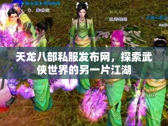 天龙八部私服发布网，探索武侠世界的另一片江湖