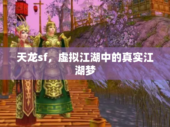 天龙sf，虚拟江湖中的真实江湖梦