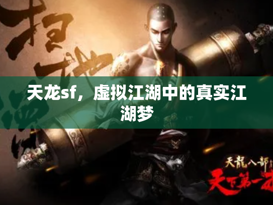 天龙sf，虚拟江湖中的真实江湖梦