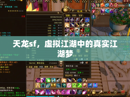 天龙sf，虚拟江湖中的真实江湖梦