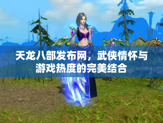 天龙八部发布网，武侠情怀与游戏热度的完美结合