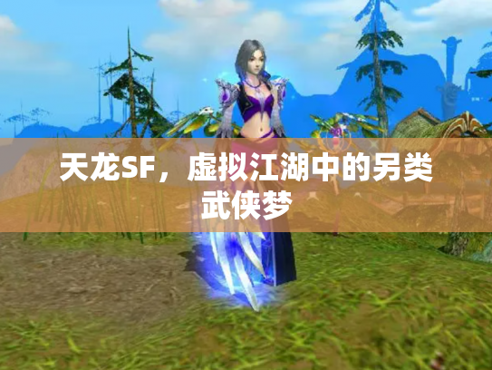 天龙SF，虚拟江湖中的另类武侠梦