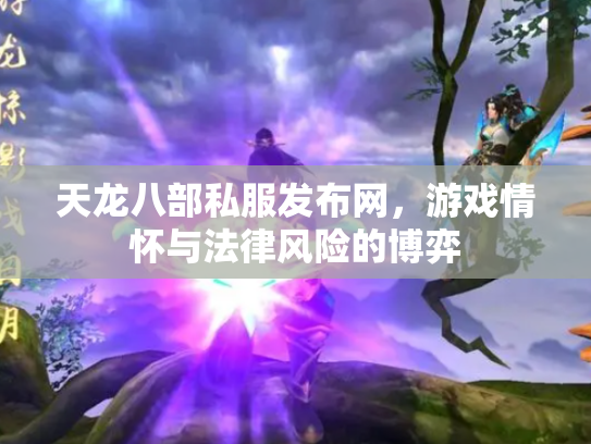 天龙八部私服发布网，游戏情怀与法律风险的博弈