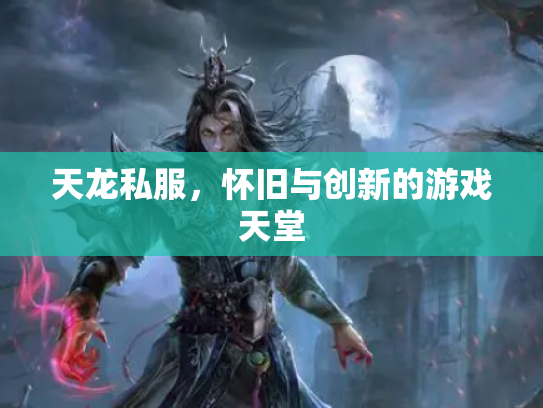 天龙私服，怀旧与创新的游戏天堂