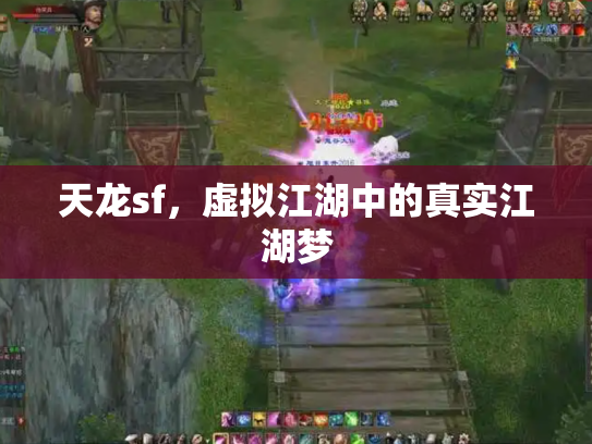 天龙sf，虚拟江湖中的真实江湖梦
