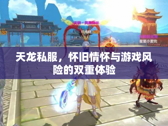 天龙私服，怀旧情怀与游戏风险的双重体验