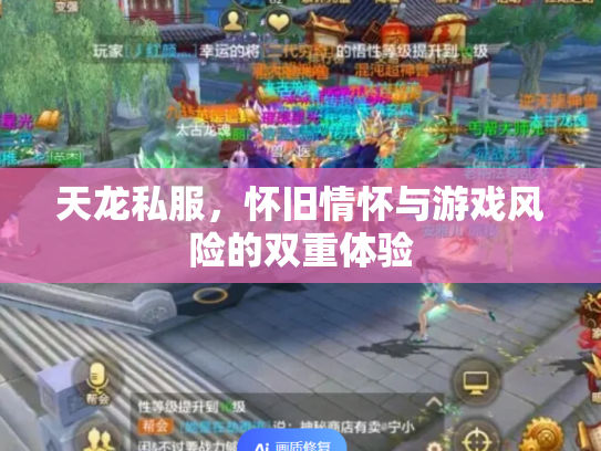 天龙私服，怀旧情怀与游戏风险的双重体验