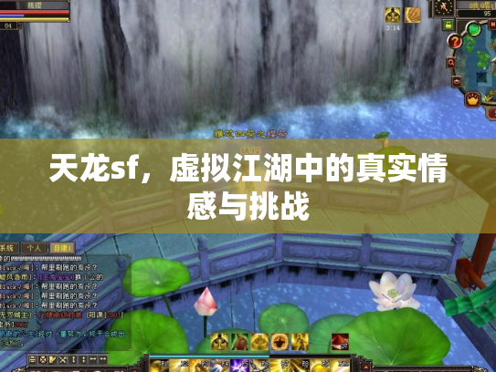 天龙sf，虚拟江湖中的真实情感与挑战
