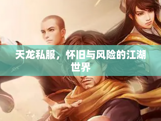 天龙私服，怀旧与风险的江湖世界