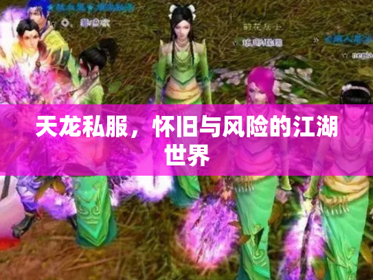 天龙私服，怀旧与风险的江湖世界