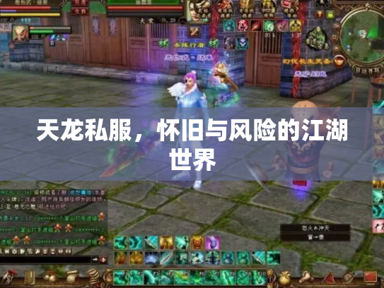 天龙私服，怀旧与风险的江湖世界