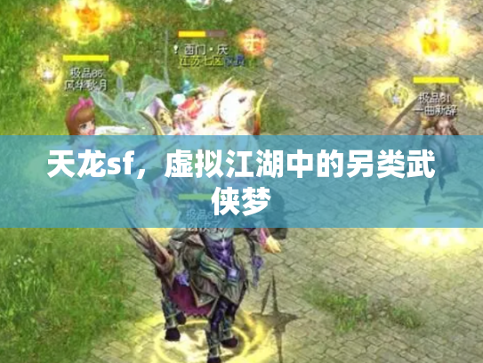天龙sf，虚拟江湖中的另类武侠梦