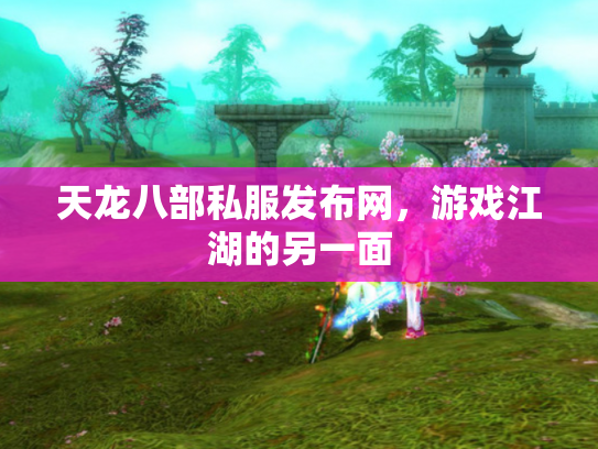 天龙八部私服发布网，游戏江湖的另一面