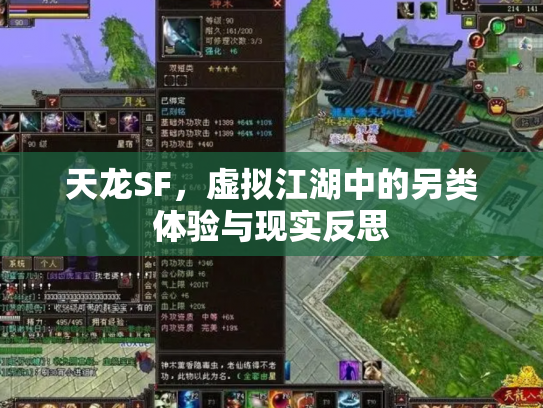 天龙SF，虚拟江湖中的另类体验与现实反思