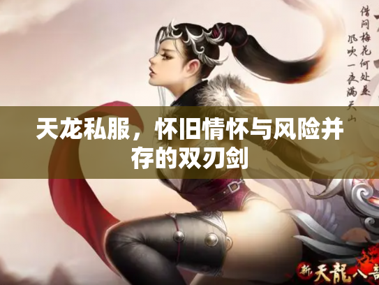 天龙私服，怀旧情怀与风险并存的双刃剑