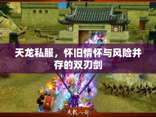 天龙私服，怀旧情怀与风险并存的双刃剑