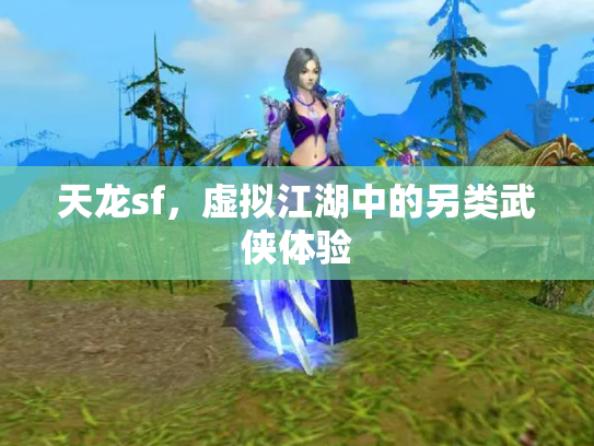 天龙sf，虚拟江湖中的另类武侠体验