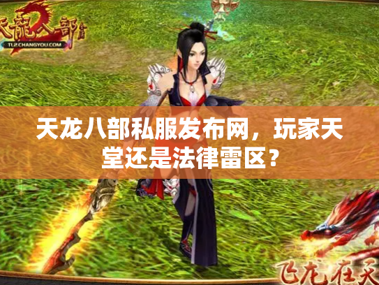 天龙八部私服发布网，玩家天堂还是法律雷区？