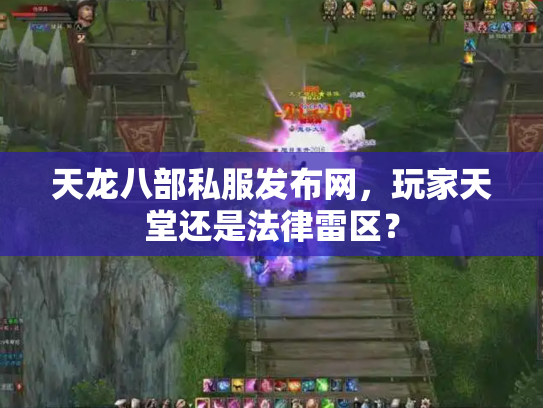 天龙八部私服发布网，玩家天堂还是法律雷区？