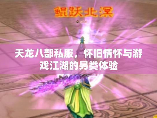 天龙八部私服，怀旧情怀与游戏江湖的另类体验