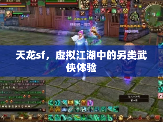 天龙sf，虚拟江湖中的另类武侠体验
