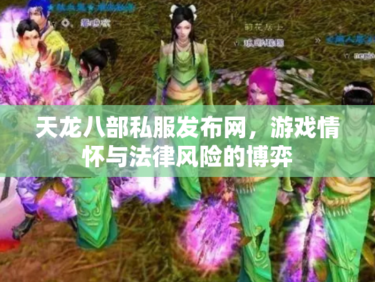 天龙八部私服发布网，游戏情怀与法律风险的博弈