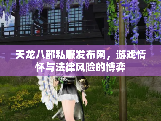 天龙八部私服发布网，游戏情怀与法律风险的博弈