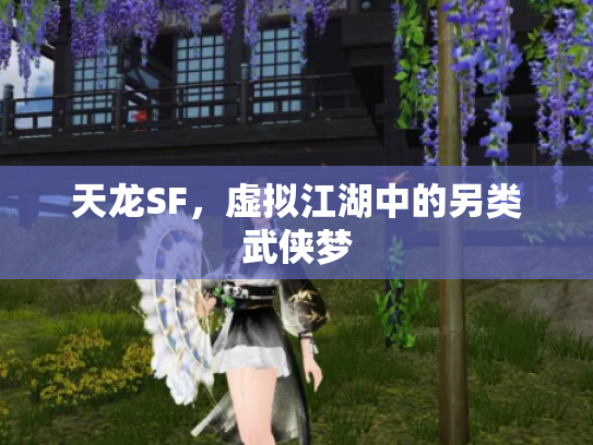 天龙SF，虚拟江湖中的另类武侠梦