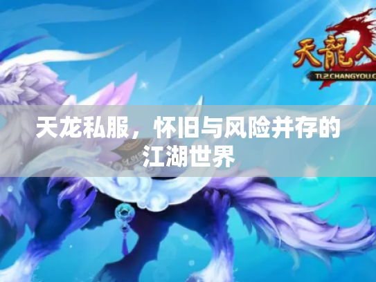天龙私服，怀旧与风险并存的江湖世界