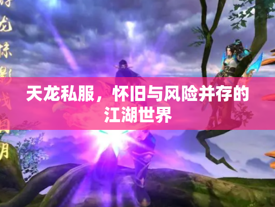 天龙私服，怀旧与风险并存的江湖世界