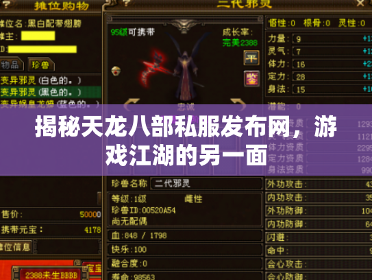 揭秘天龙八部私服发布网，游戏江湖的另一面