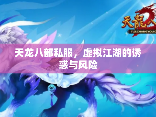 天龙八部私服，虚拟江湖的诱惑与风险