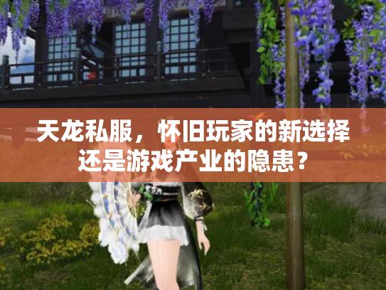 天龙私服，怀旧玩家的新选择还是游戏产业的隐患？