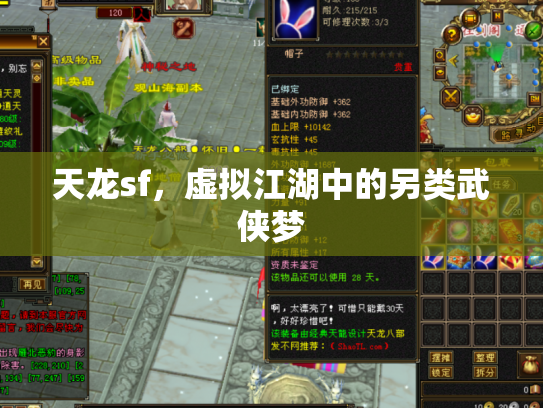 天龙sf，虚拟江湖中的另类武侠梦