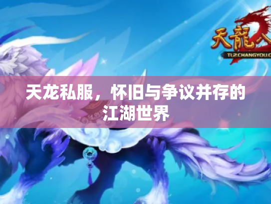 天龙私服，怀旧与争议并存的江湖世界