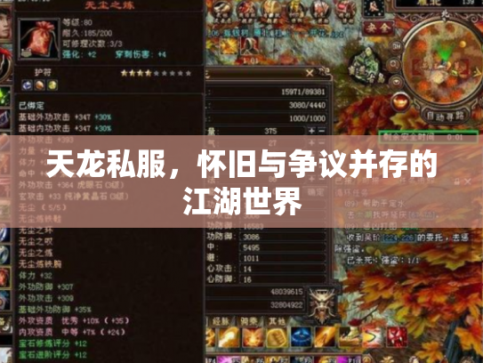 天龙私服，怀旧与争议并存的江湖世界
