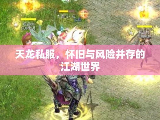 天龙私服，怀旧与风险并存的江湖世界