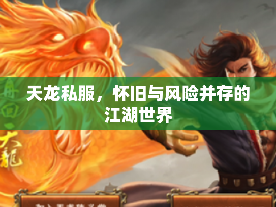 天龙私服，怀旧与风险并存的江湖世界