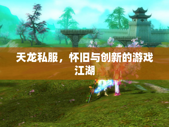天龙私服，怀旧与创新的游戏江湖