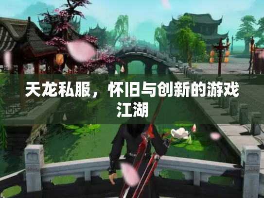 天龙私服，怀旧与创新的游戏江湖