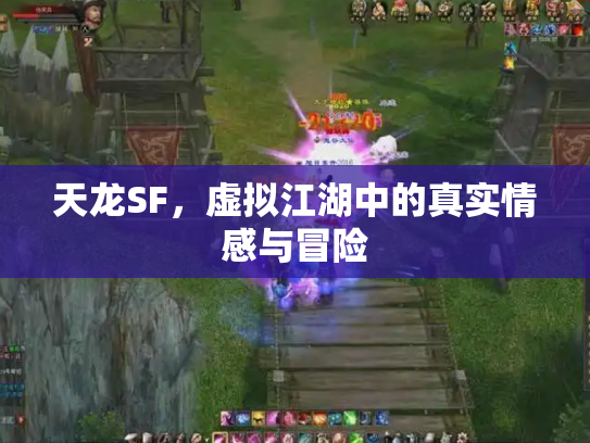天龙SF，虚拟江湖中的真实情感与冒险