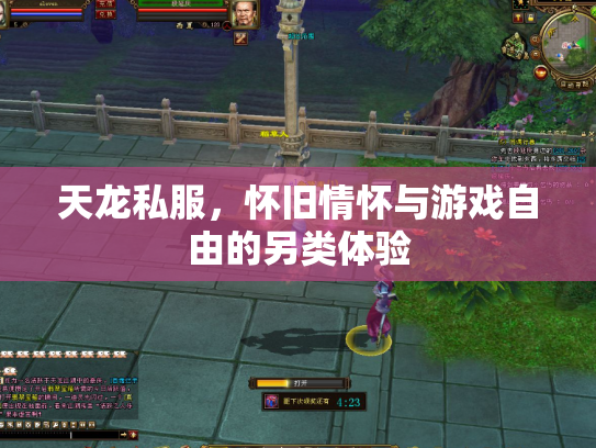 天龙私服，怀旧情怀与游戏自由的另类体验