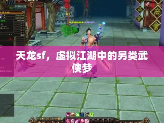 天龙sf，虚拟江湖中的另类武侠梦