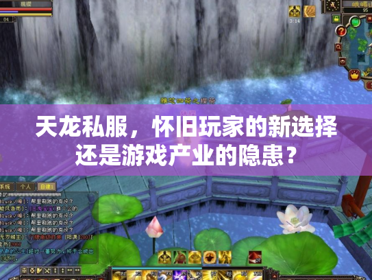 天龙私服，怀旧玩家的新选择还是游戏产业的隐患？