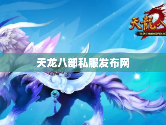 天龙八部私服发布网