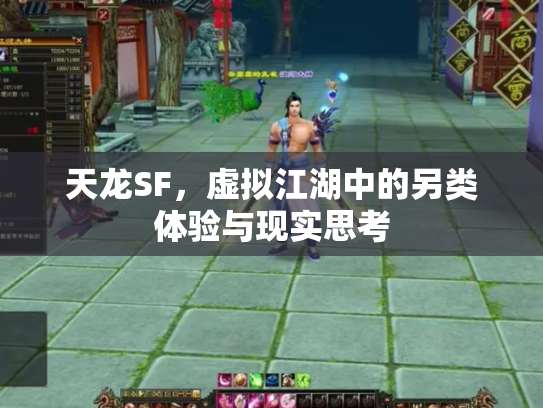 天龙SF，虚拟江湖中的另类体验与现实思考