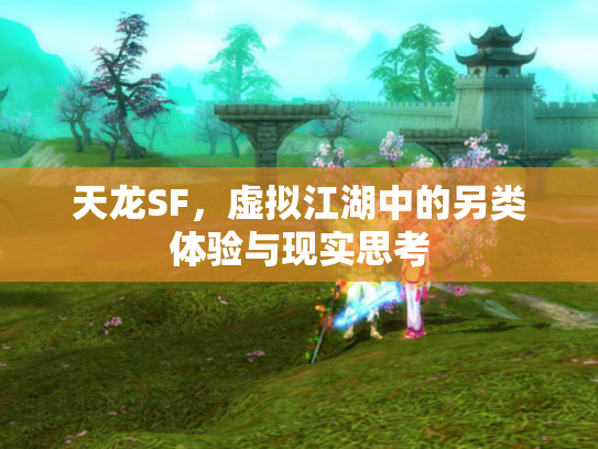 天龙SF，虚拟江湖中的另类体验与现实思考