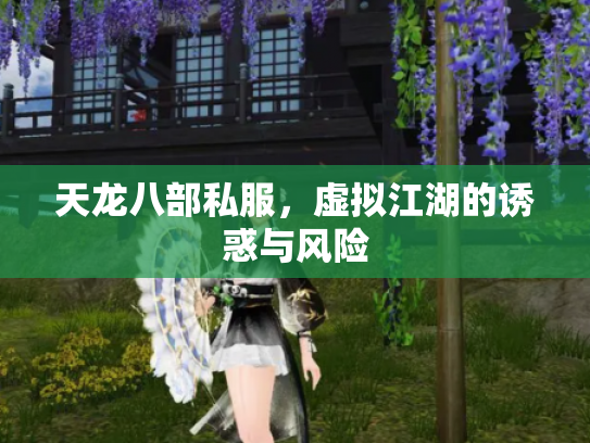 天龙八部私服，虚拟江湖的诱惑与风险
