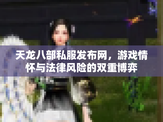 天龙八部私服发布网，游戏情怀与法律风险的双重博弈